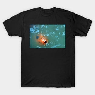 Feed Me T-Shirt